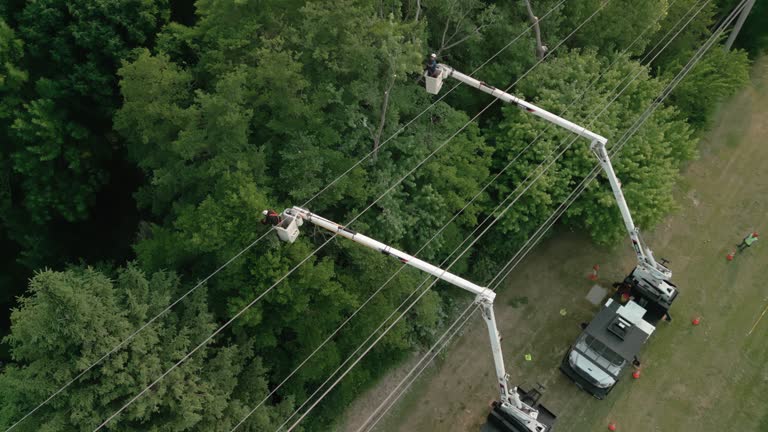Best Tree and Shrub Care  in Suncrest, WA